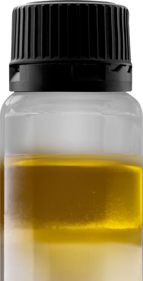 Brainluxury, Delta Bottle